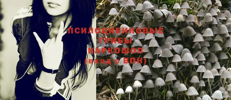 Галлюциногенные грибы MAGIC MUSHROOMS Россошь